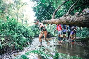 BIB: 
                            <button type="button" onclick="openModal(25442392)" class="btn btn-primary btn-sm float-right btn-popup" data-toggle="modal" data-target=".modal-high-quality">
                        <i class="fas fa-shopping-cart"></i> Add to Cart
                    </button>
                                            <button type="button" onclick="isThisMe(25442392, true)" class="btn btn-success btn-sm float-right btn-popup btn-isme hidden" data-toggle="tooltip" data-placement="bottom" title="นี่คือรูปของคุณใช่ไหม คลิกที่นี่เพื่อเอาเข้าอัลบั้ม">
                        <i class="fas fa-plus"></i> Add to album
                    </button>
                    <button type="button" onclick="isThisMe(25442392, false)" class="btn btn-warning btn-sm float-right btn-popup btn-isnotme hidden">
                        <i class="fas fa-ban"></i> Remove from album
                    </button>